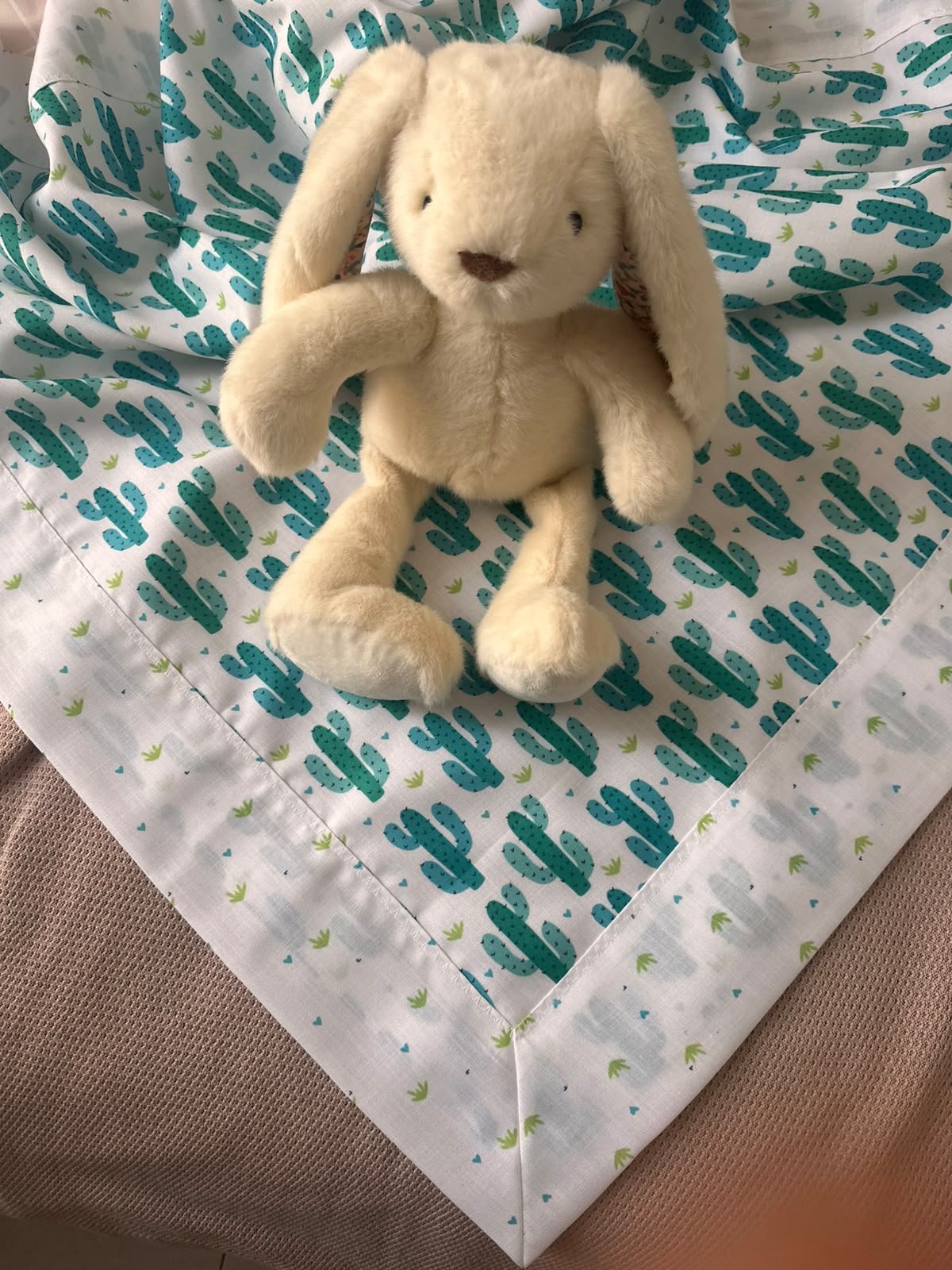 Reversible Blanket - Cactus Garden